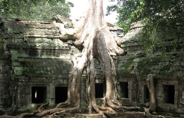 Banteay Srey temple +  Phnom Kulen Waterfall